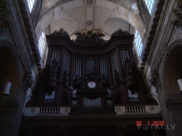 organ_san_syssi